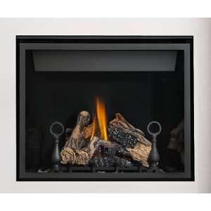  Napolean Fireplaces HDF35P Direct Vent Fireplace 4 Sided 