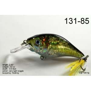   Diving Crankbait Fishing Lures for Bass & Trout