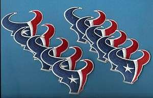 10 Lot Houston Texans NFL Football Iron On Patch Sports Crest  