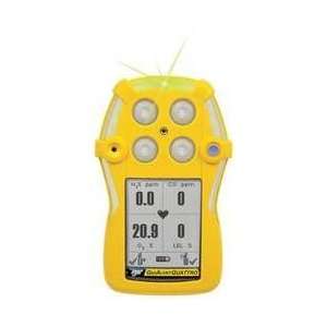  Multi gas Detector,2 Gas, 4 To 122f,lcd   BW TECHNOLOGIES 