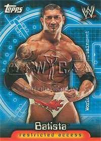 2006 WWE SUPERSTARS subset of 60 cards TOPPS   Insider  