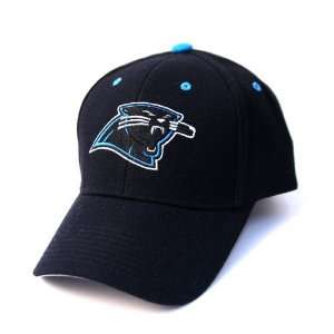  NFL Carolina Panthers Game Day Hat Cap Lid Everything 